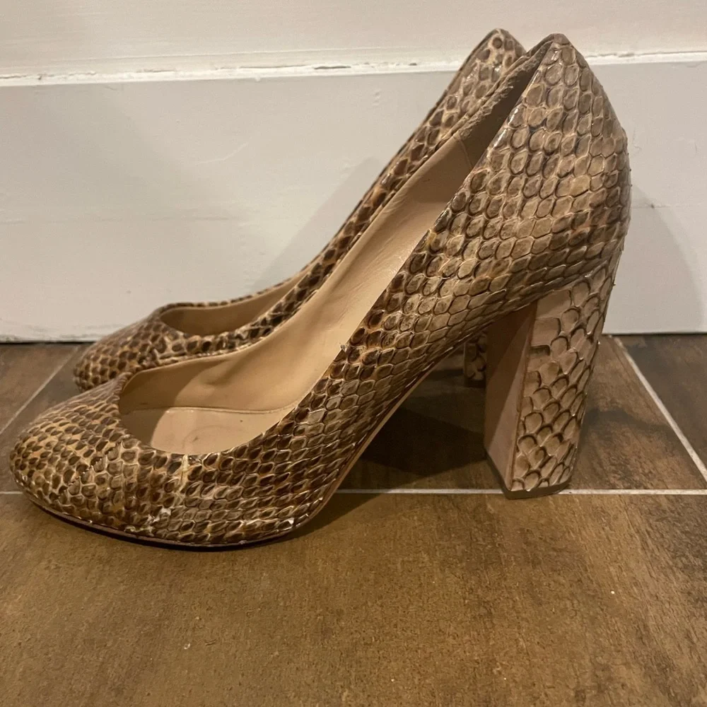 J.Crew Collection Etta Pumps in Snakeskin